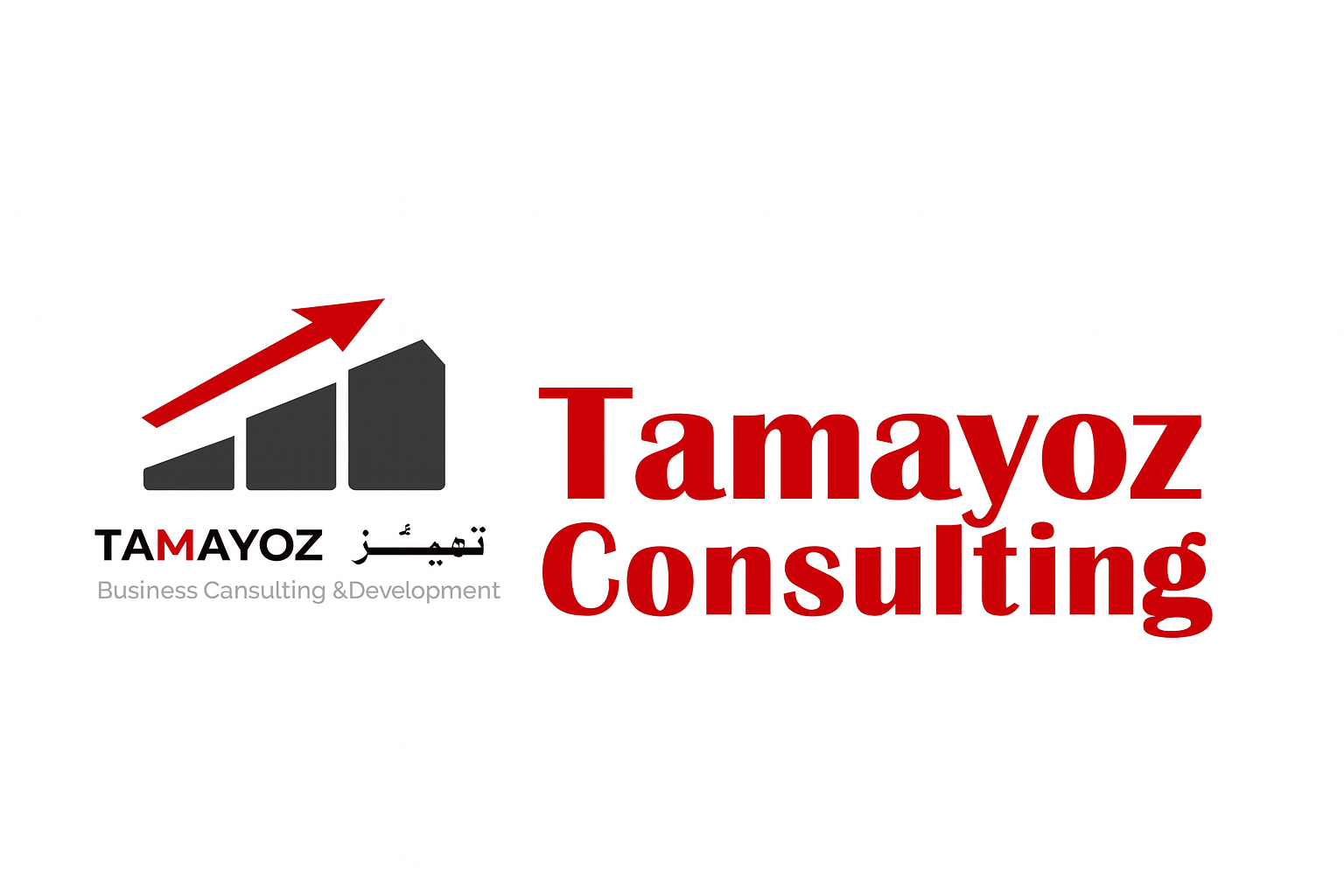 Tamayoz Consulting